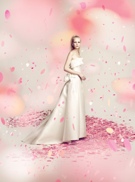 Peter Langner 2011 Campaign