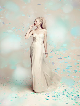 Peter Langner 2011 Campaign