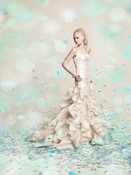 Peter Langner 2011 Campaign